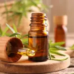 Saiba como o óleo essencial de alecrim pode ajudar no crescimento do cabelo