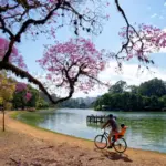5 rotas de bike para aproveitar a primavera no Brasil