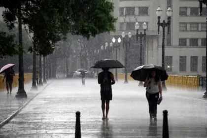 3 doenças causadas pelo contato com a água da chuva