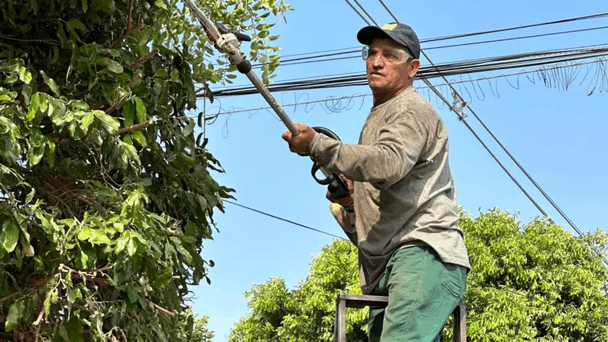 Poda correta: saiba como contratar um podador credenciado junto a Secretaria de Meio Ambiente Poda correta: saiba como contratar um podador credenciado junto a Secretaria de Meio Ambiente