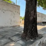 Prefeitura de Goianésia prepara cemitério municipal para o Dia de Finados