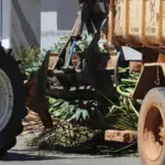 Prefeitura de Goianésia implantará o programa “A Limpeza é Nossa” a partir de novembro; veja como funcionará