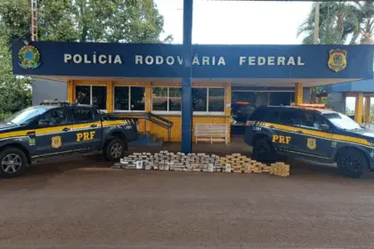 PRF apreende mais de 174 kg de drogas após perseguição e acidente fatal em Goiás