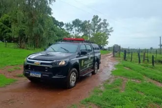 PCGO prende foragido por homicídio qualificado por motivo fútil em Niquelândia – Policia Civil do Estado de Goiás
