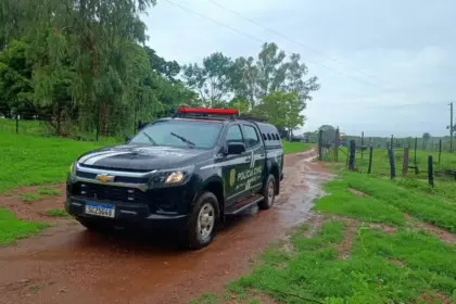 PCGO prende foragido por homicídio qualificado por motivo fútil em Niquelândia – Policia Civil do Estado de Goiás