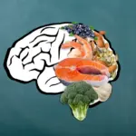 Quer melhorar a concentração? Veja 10 alimentos que favorecem o cérebro para os estudos