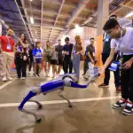 Campus Party Goiás deve receber 100 mil pessoas – Portal Goiás