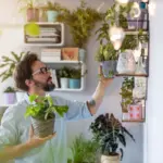7 dicas simples para cuidar de plantas em casa
