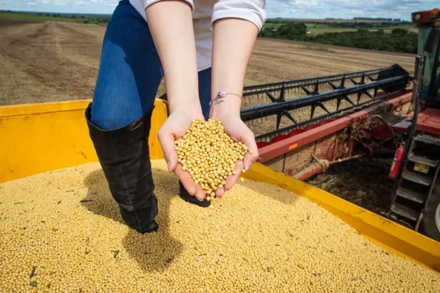 Impulsionado pelo agronegócio e indústria, PIB de Goiás cresce 4,8% em 2023 e supera média nacional – Portal Goiás