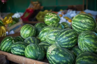 Goiás lidera produção nacional de melancia – Portal Goiás