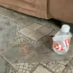 PCGO e PMGO prendem autor de tentativa de homicídio em menos de 20 minutos após o crime – Policia Civil do Estado de Goiás