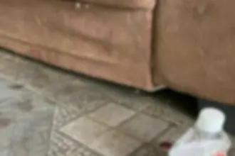 PCGO e PMGO prendem autor de tentativa de homicídio em menos de 20 minutos após o crime – Policia Civil do Estado de Goiás