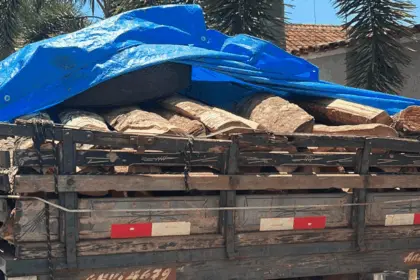 PCGO localiza e apreende caminhão com madeira ilegal após denúncia anônima em Jaraguá – Policia Civil do Estado de Goiás