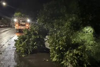 Fortes ventos derrubam árvore sobre dois veículos no Centro de Goianésia