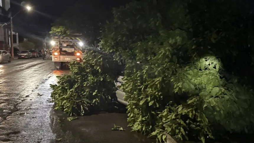 Fortes ventos derrubam árvore sobre dois veículos no Centro de Goianésia Fortes ventos derrubam árvore sobre dois veículos no Centro de Goianésia