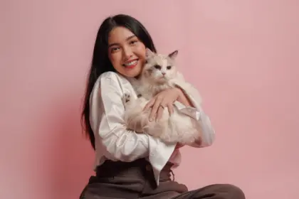 Gato sociáveis: 7 raças que gostam de companhia 