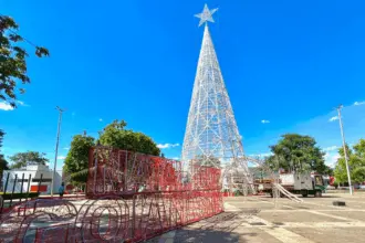 Natal Luz 2025: Luzes da Árvore Encantada serão acesas nesta quinta na Praça Laurentino Martins