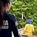 Reeducandos ajudam a revitalizar prédios públicos em ação conjunta da Prefeitura de Goianésia e Polícia Penal