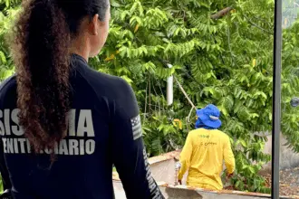 Reeducandos ajudam a revitalizar prédios públicos em ação conjunta da Prefeitura de Goianésia e Polícia Penal