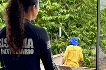 Reeducandos ajudam a revitalizar prédios públicos em ação conjunta da Prefeitura de Goianésia e Polícia Penal