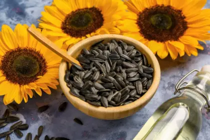 6 benefícios das sementes de girassol para a saúde e como usá-las
