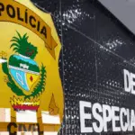 PCGO prende homem condenado a 16 anos de prisão por estuprar enteada em Luziânia – Policia Civil do Estado de Goiás