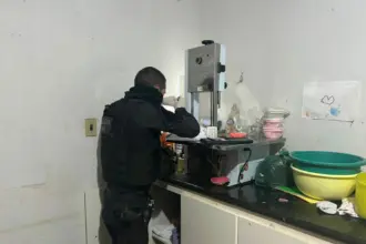 Operação integrada prende autor por posse ilegal de arma de fogo de uso restrito em Indiara – Policia Civil do Estado de Goiás