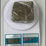 PCGO cumpre mandados e prende investigado por tráfico em Campos Belos – Policia Civil do Estado de Goiás