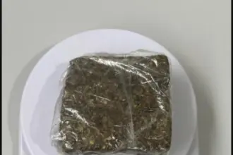 PCGO cumpre mandados e prende investigado por tráfico em Campos Belos – Policia Civil do Estado de Goiás