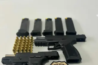 PCGO prende investigado por posse ilegal de armas e cumpre mandado de busca em Pires do Rio – Policia Civil do Estado de Goiás