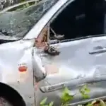 Acidente fatal na GO-334 mata morador de Goianésia próximo a Nova América