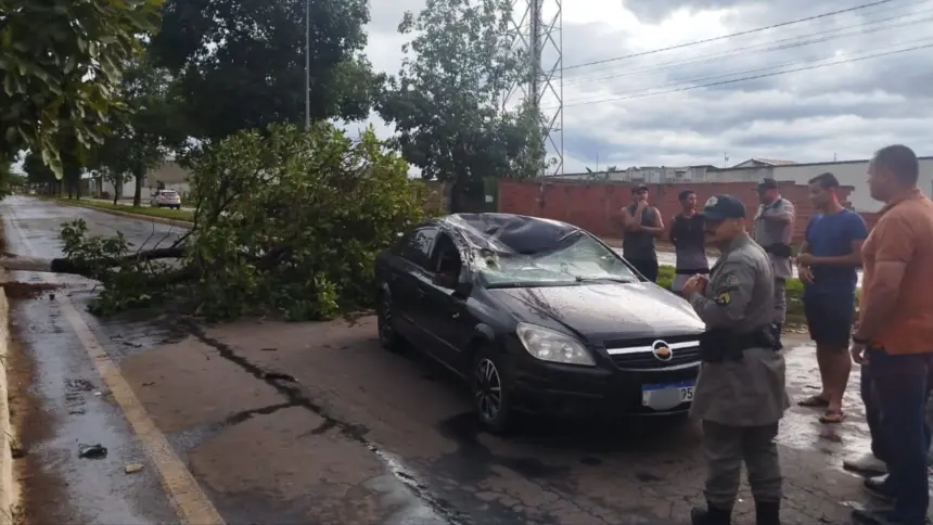 Árvore cai sobre carro em Goianésia e bombeiro de folga presta atendimento