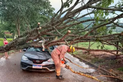 Fortes ventos derrubam árvores e mobilizam Bombeiros em Goianésia