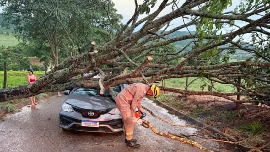 Fortes ventos derrubam árvores e mobilizam Bombeiros em Goianésia