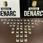 PCGO prende casal que distribuía drogas em Goiânia e Região Metropolitana – Policia Civil do Estado de Goiás