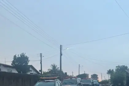 Operação “Shutdown” prende quatro pessoas por tráfico de drogas em Carmo do Rio Verde e resgata aves de rinha