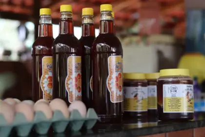 Pequeno produtor não perca o prazo! Cadastro em projeto de melhoria de agroindústrias do Governo de Goiás termina nesta quinta – Portal Goiás