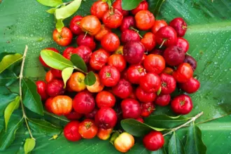 Acerola: conheça a superfruta tropical rica em vitamina C e fácil de cultivar no quintal
