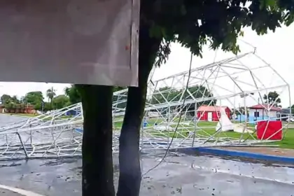 Chuva acompanhada de ventos derruba árvore de natal em Vila Propício