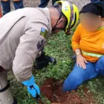 Bombeiros resgatam trabalhadora após acidente de trabalho no oeste de Goianésia