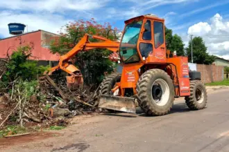 Cronograma de recolhimento de entulhos e galhadas de janeiro já começou em Goianésia