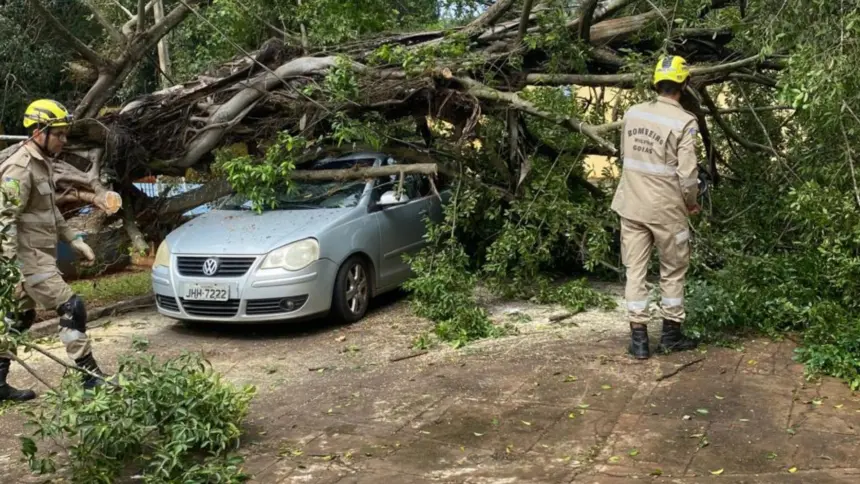 Queda de árvore atinge veículo e mobiliza Corpo de Bombeiros de Goianésia