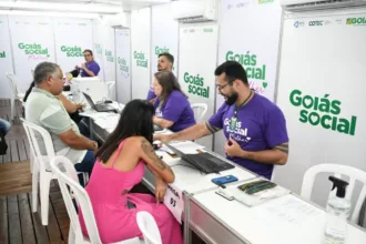 Pode ser sua chance! Goiás Social Mulher disponibiliza 12 mil vagas de emprego – Portal Goiás