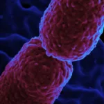 Hospital em Campinas restringe atendimento para conter superbactéria