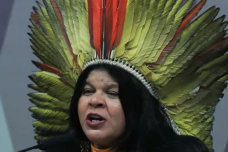 Sônia Guajajara apresenta melhoras, mas continua internada em SP