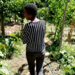 Horta comunitária reúne memória, cuidado e cidadania em favela do Rio