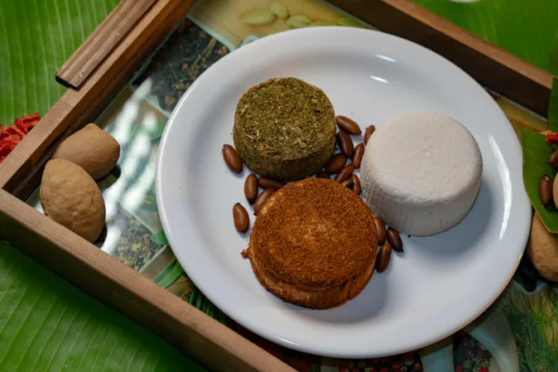 Queijo vegetal de baru impulsiona negócio no Cerrado com apoio do Sebraetec | ASN Goiás