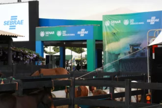 Estande Sebrae/Senar na Tecnoshow concentra movimento intenso e transforma conteúdo em ação no campo | ASN Goiás