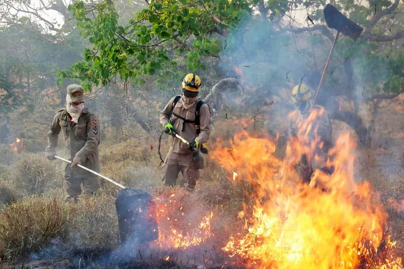Fapeg lança chamada pública para projetos que visam prevenir incêndios no Cerrado – Portal Goiás