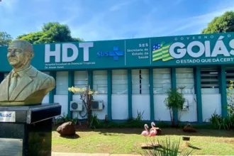 Saúde orienta sobre primeiros socorros em casos de picadas de cobra – Portal Goiás